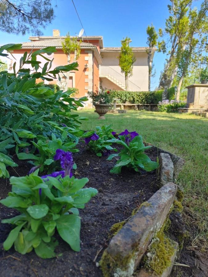 Borgo Sciugolo Bed & Breakfast Baselice Bagian luar foto