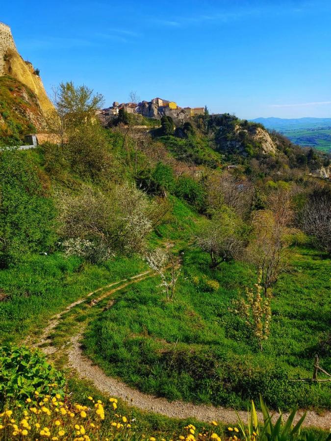 Borgo Sciugolo Bed & Breakfast Baselice Bagian luar foto